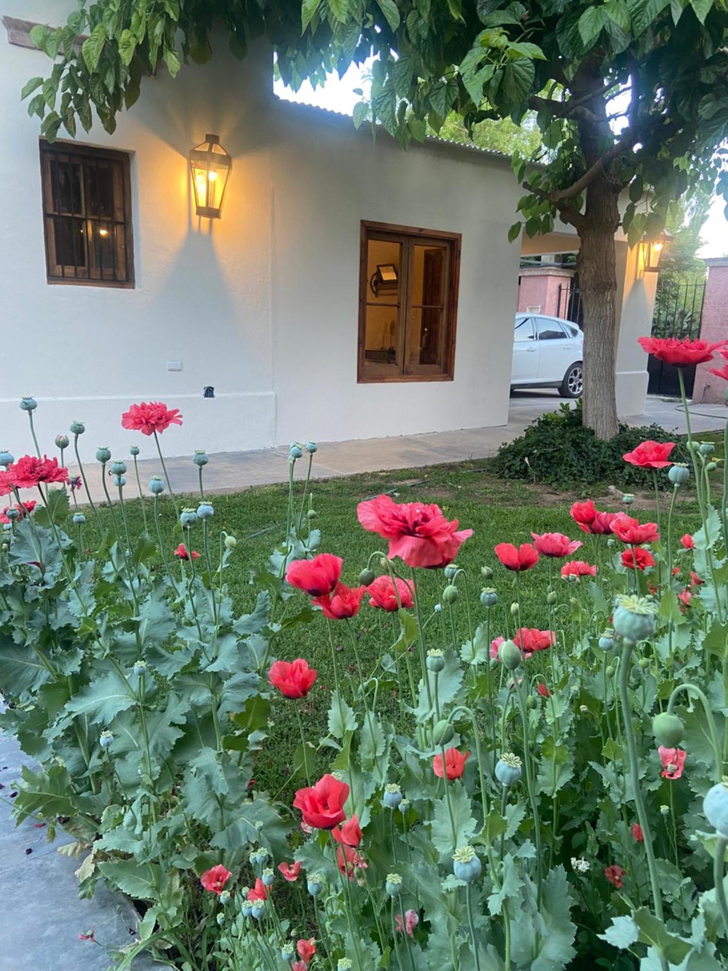 Casa Terra Lägenhet Lujan de Cuyo Exteriör bild