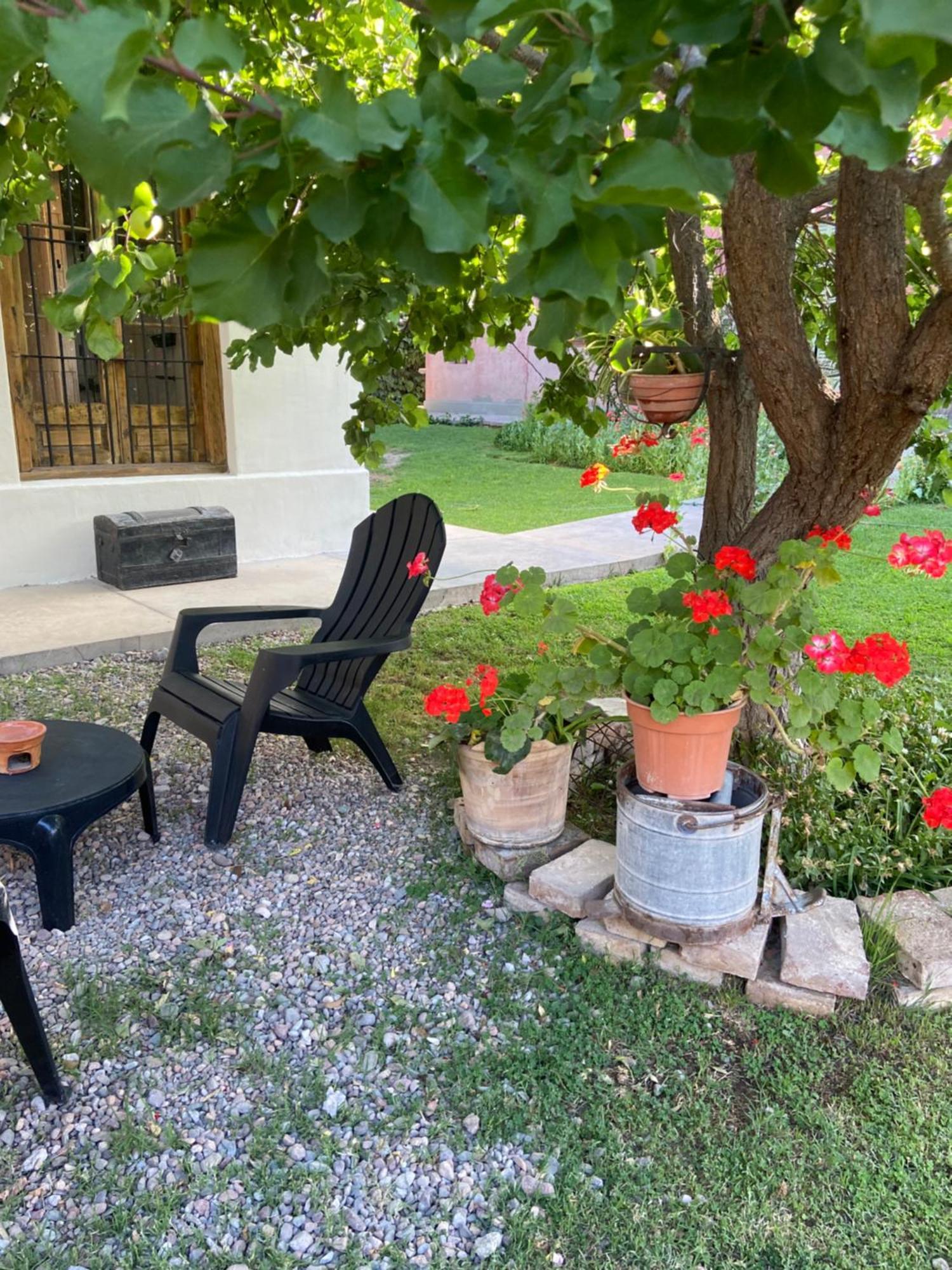 Casa Terra Lägenhet Lujan de Cuyo Exteriör bild